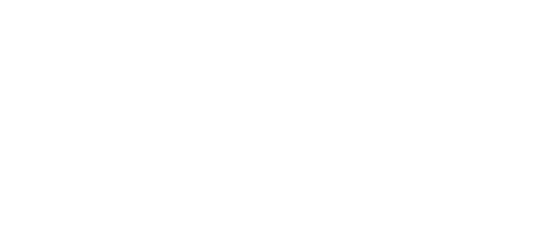 Vida Wealth Group